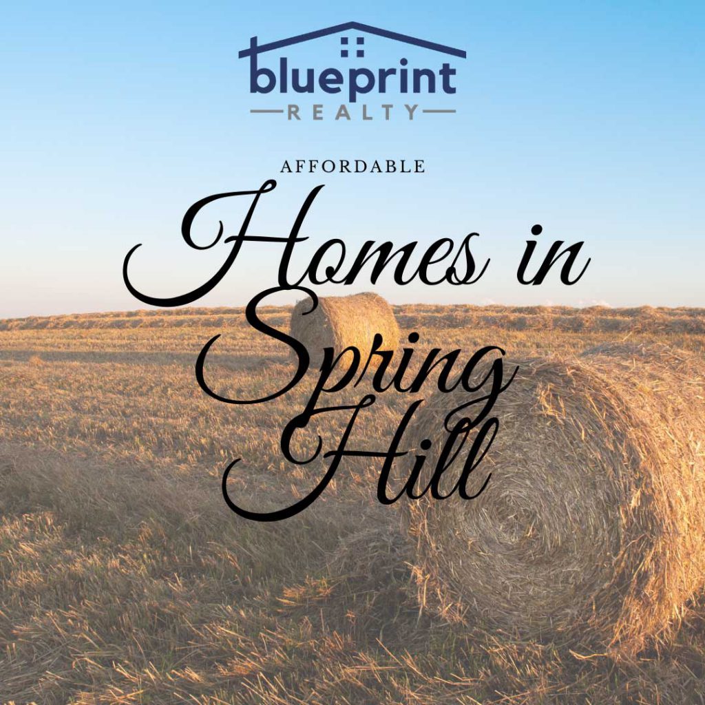 Affordable Homes in Spring Hill TN