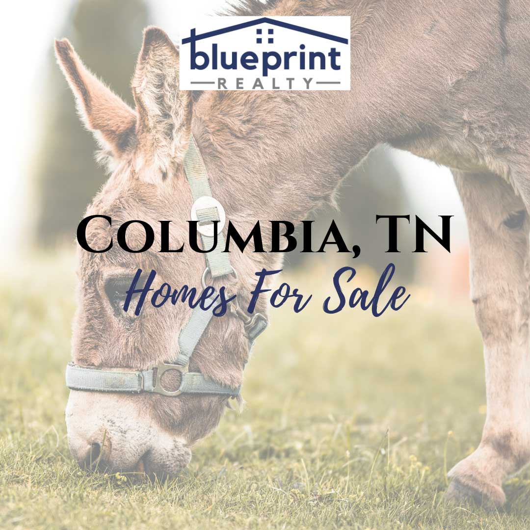 Homes For Sale in Columbia, TN Blueprint Realty, Inc.